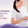 Adoption Process: First Contact to Finalization: An Overview